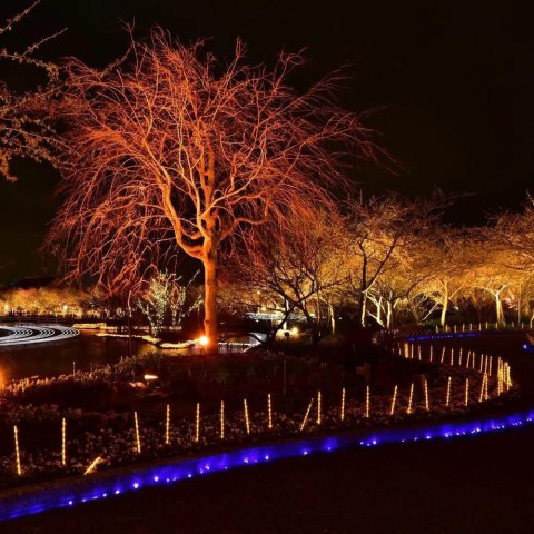 Naświetlacz LED V-TAC 20W SMD E-series czarny VT-4021 Kolor Czerwony