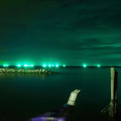 Naświetlacz LED V-TAC 20W SMD E-series czarny VT-4021 Kolor Zielony