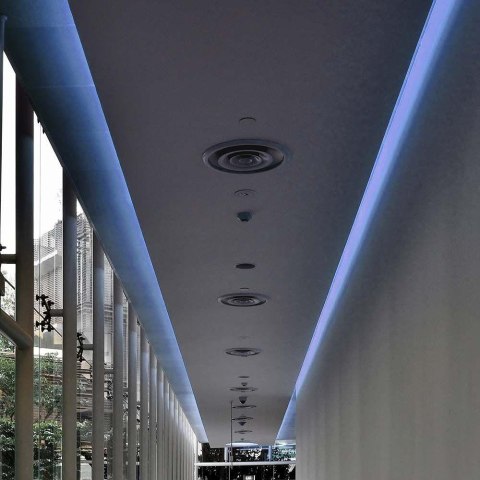 Taśma LED V-TAC 12V SMD3528 300LED IP20 3,2W/m VT-3528 60-IP20 Kolor Niebieski